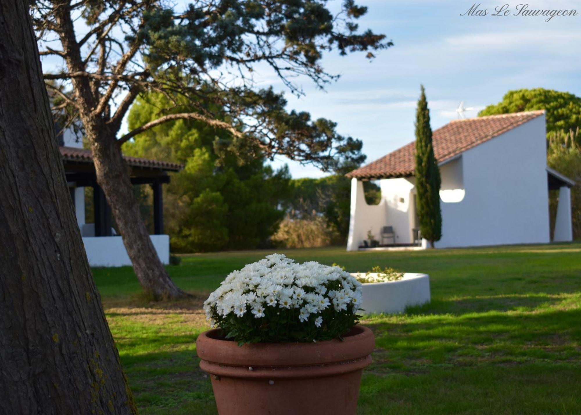 Hotel Mas Mls Saintes-Maries-de-la-Mer Esterno foto